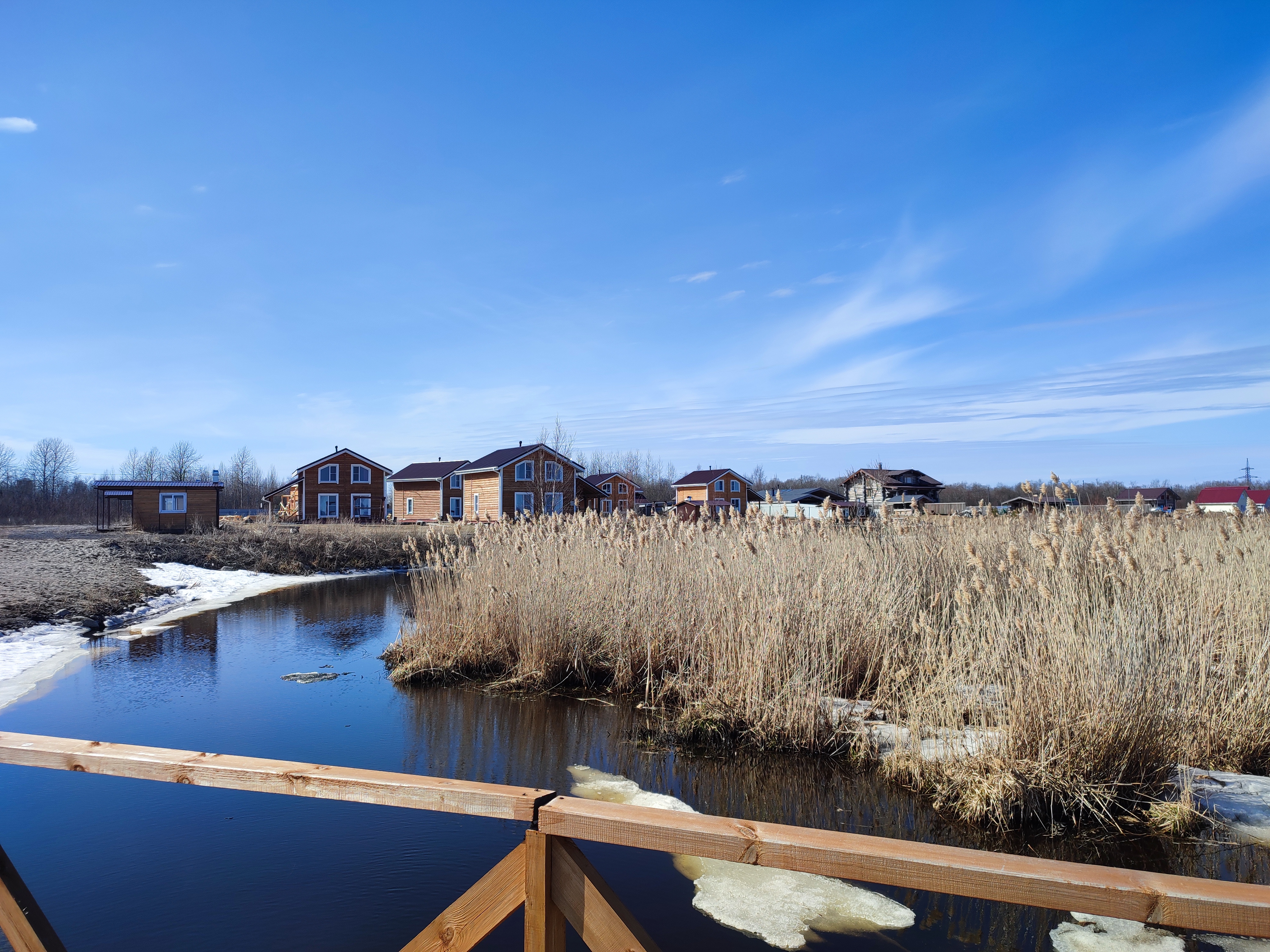 Фото Хитрый Лис