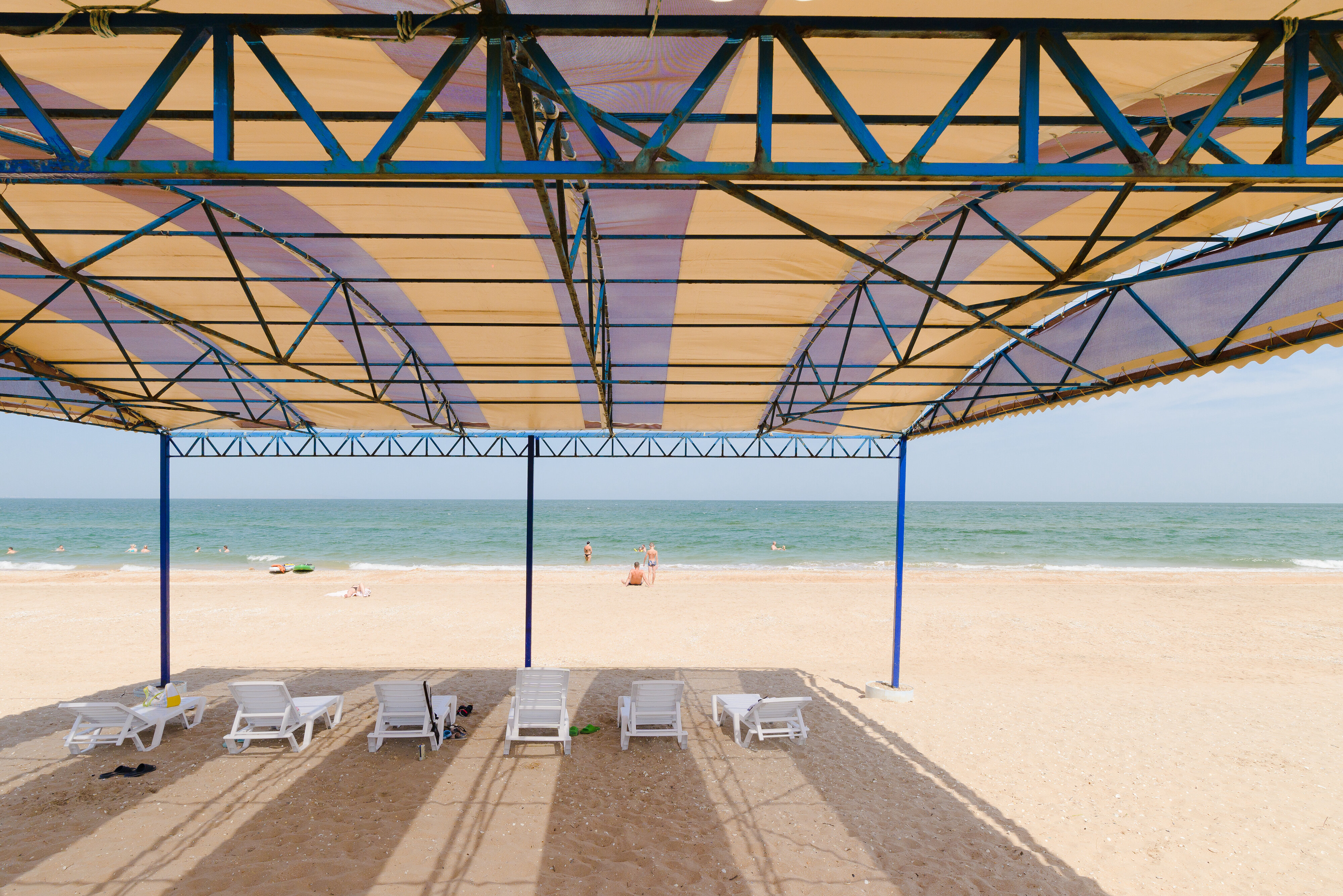 Фото Альбатрос