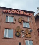Tri Medvedya (Sverdlovsk Region, Nizhneserginskiy rayon, R-242, 132-y kilometr, 117), hotel