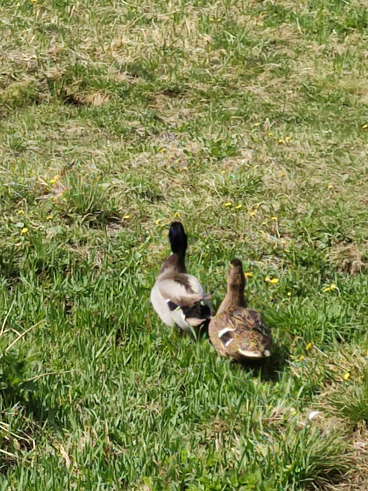 Фото Павловская Усадьба
