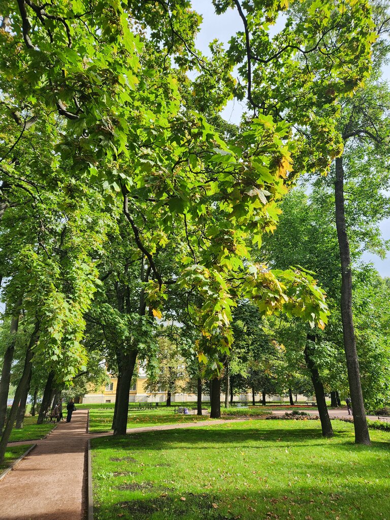 Парк культуры и отдыха Московский сад, Санкт‑Петербург, фото