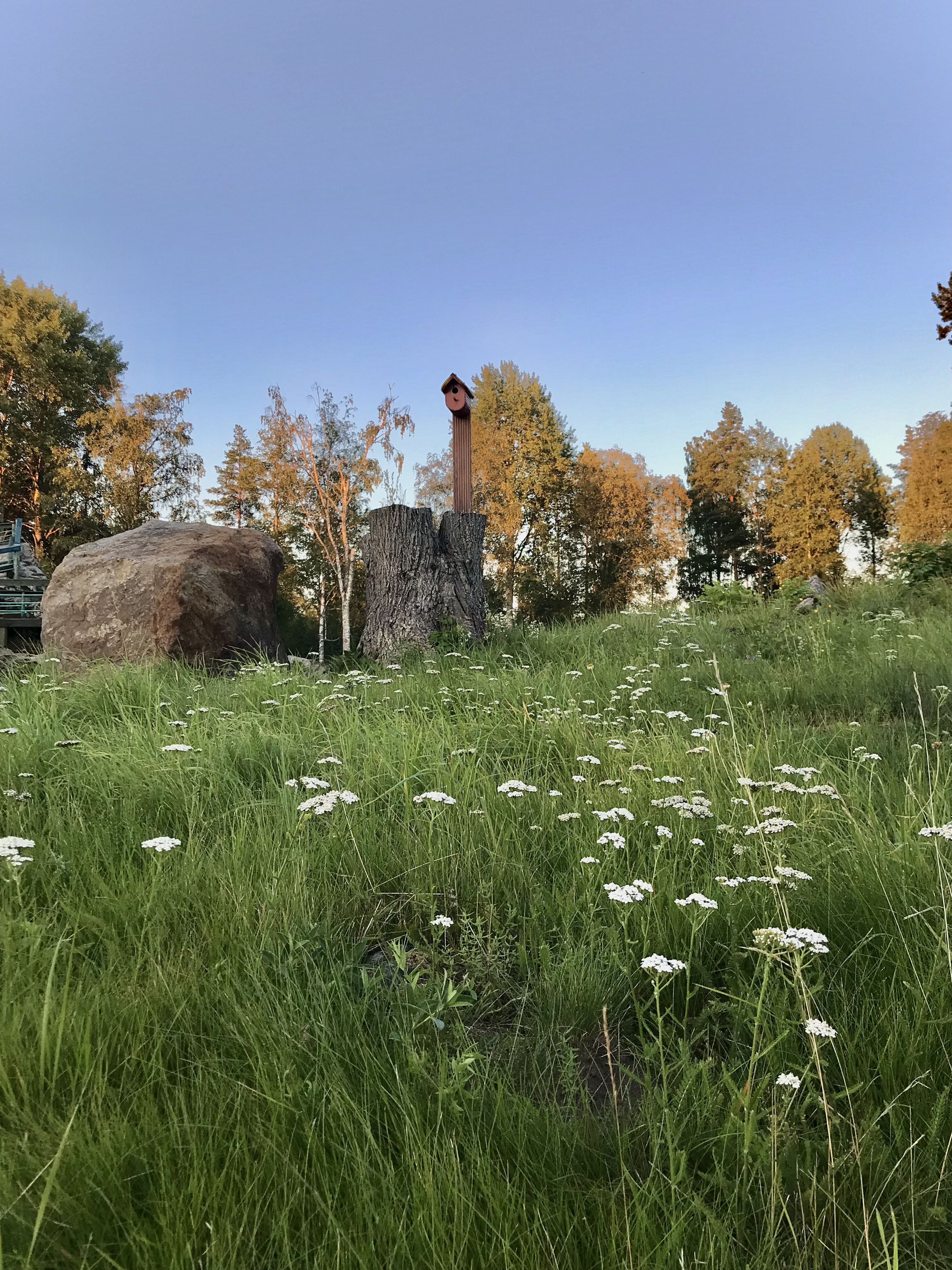 Фото Эко клуб Остров Суойа