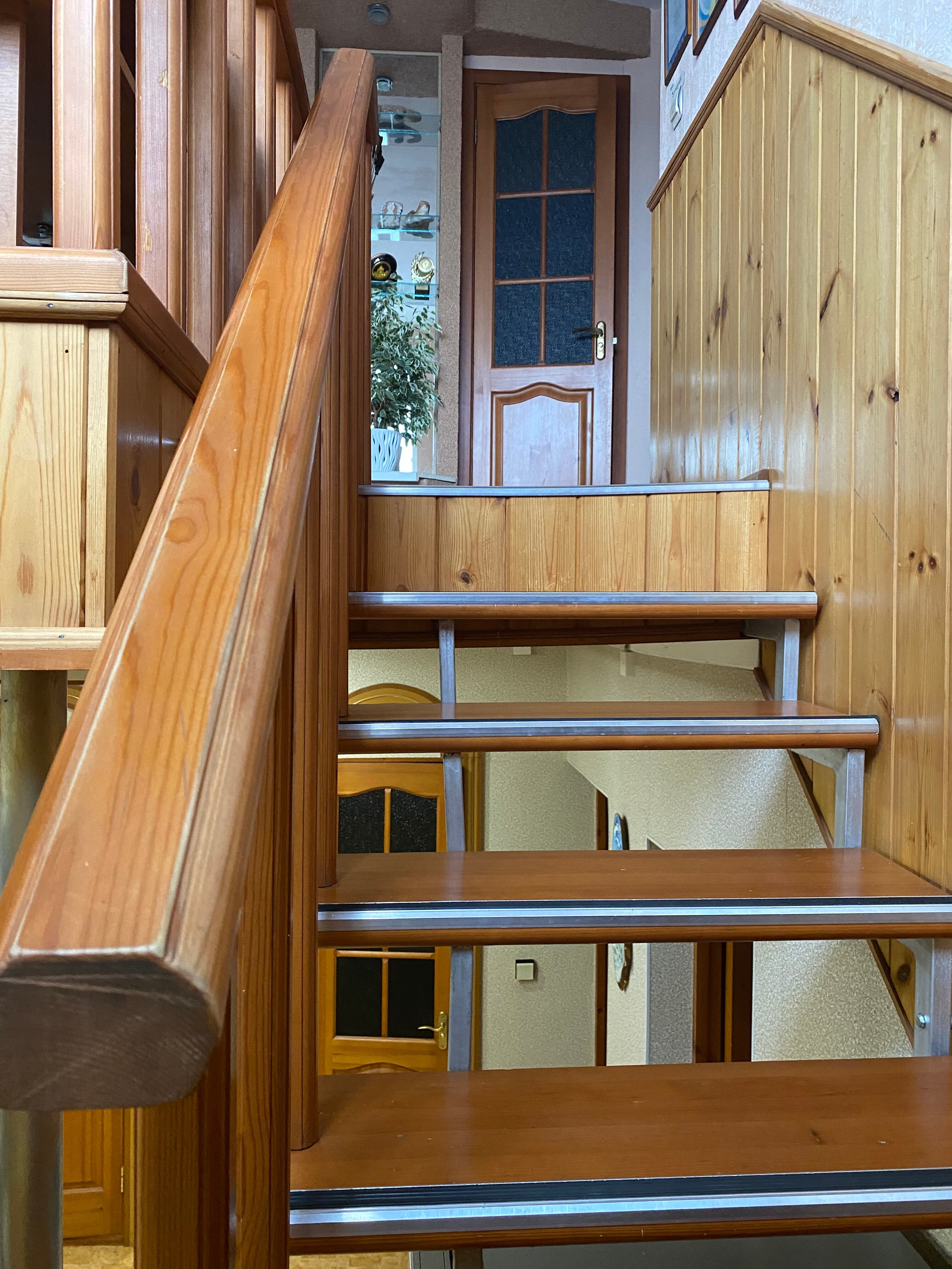 Фото Береза