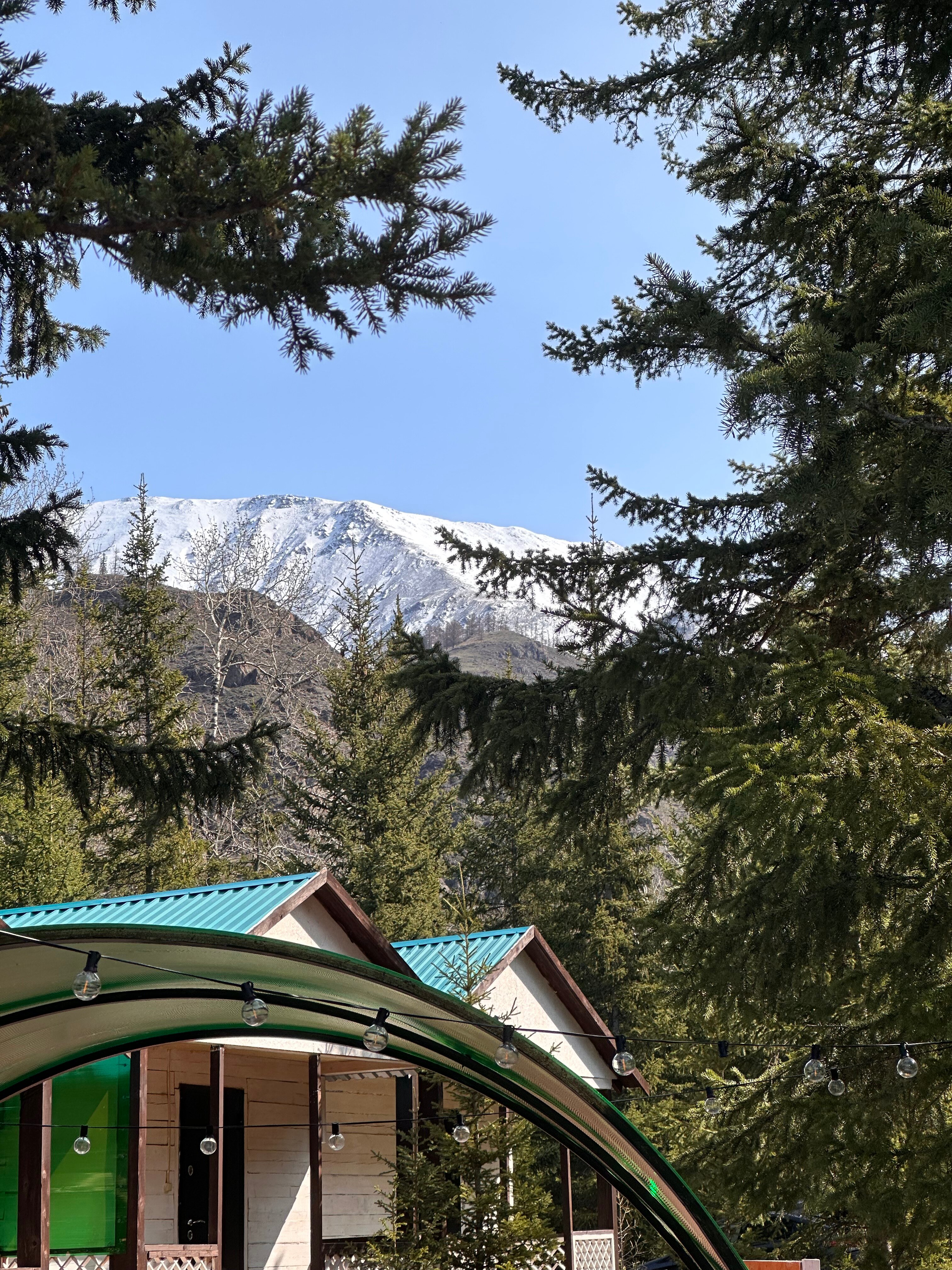 Фото Green House04