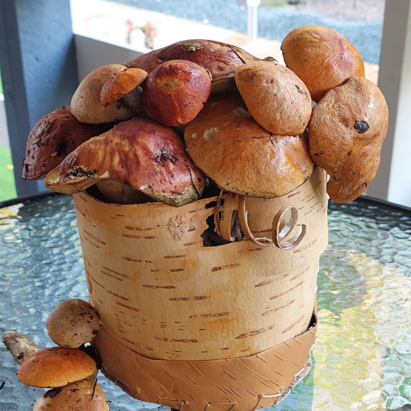 Фото Карельская сказка