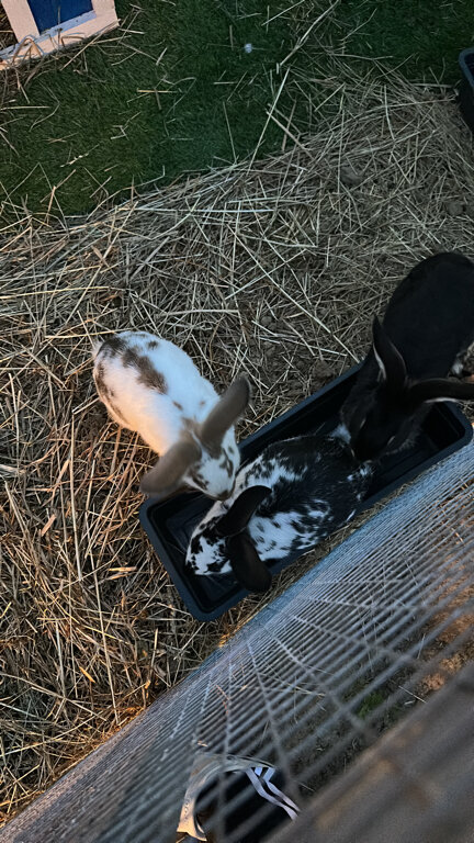 Фото Рядом Даль