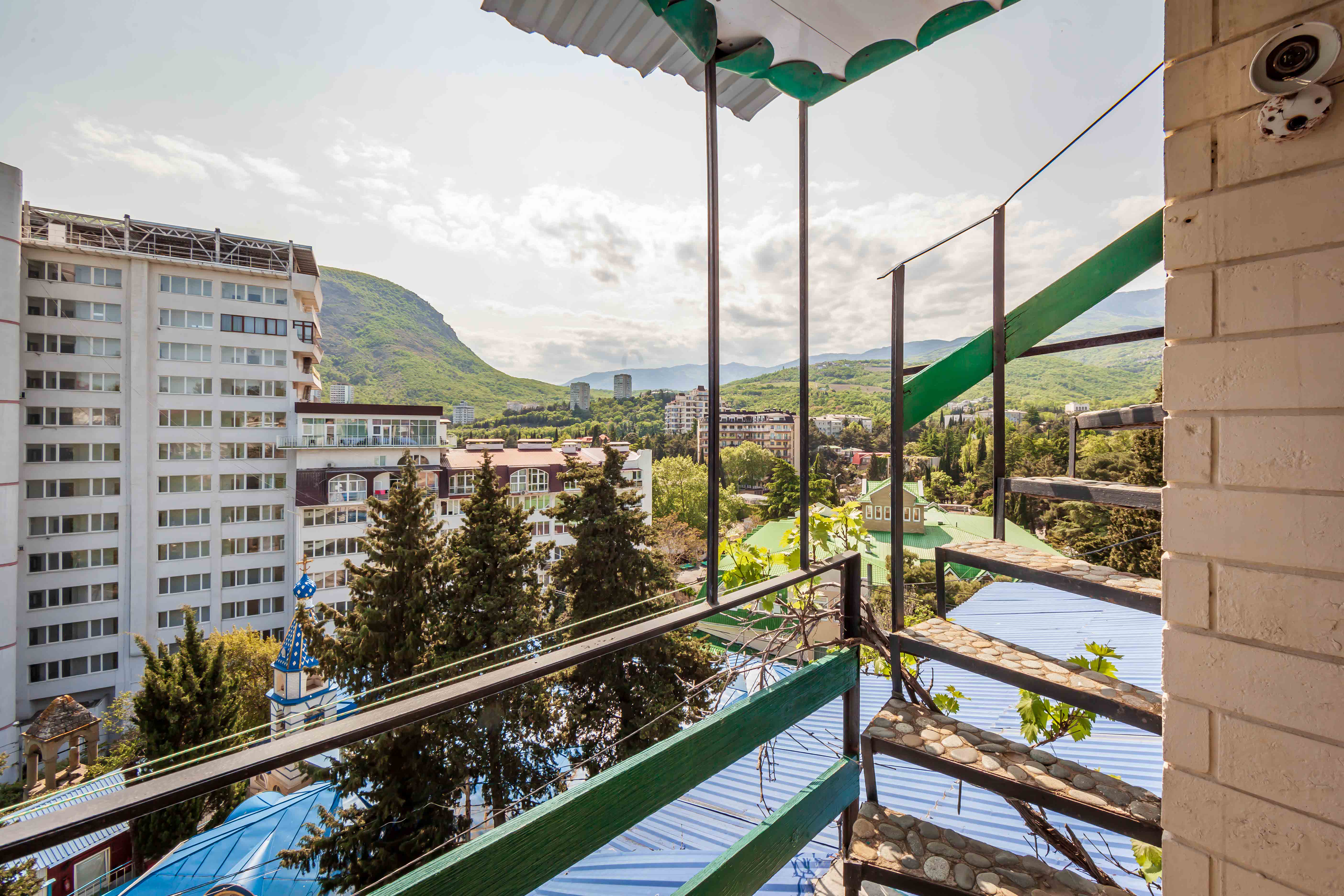 Фото Ласточка