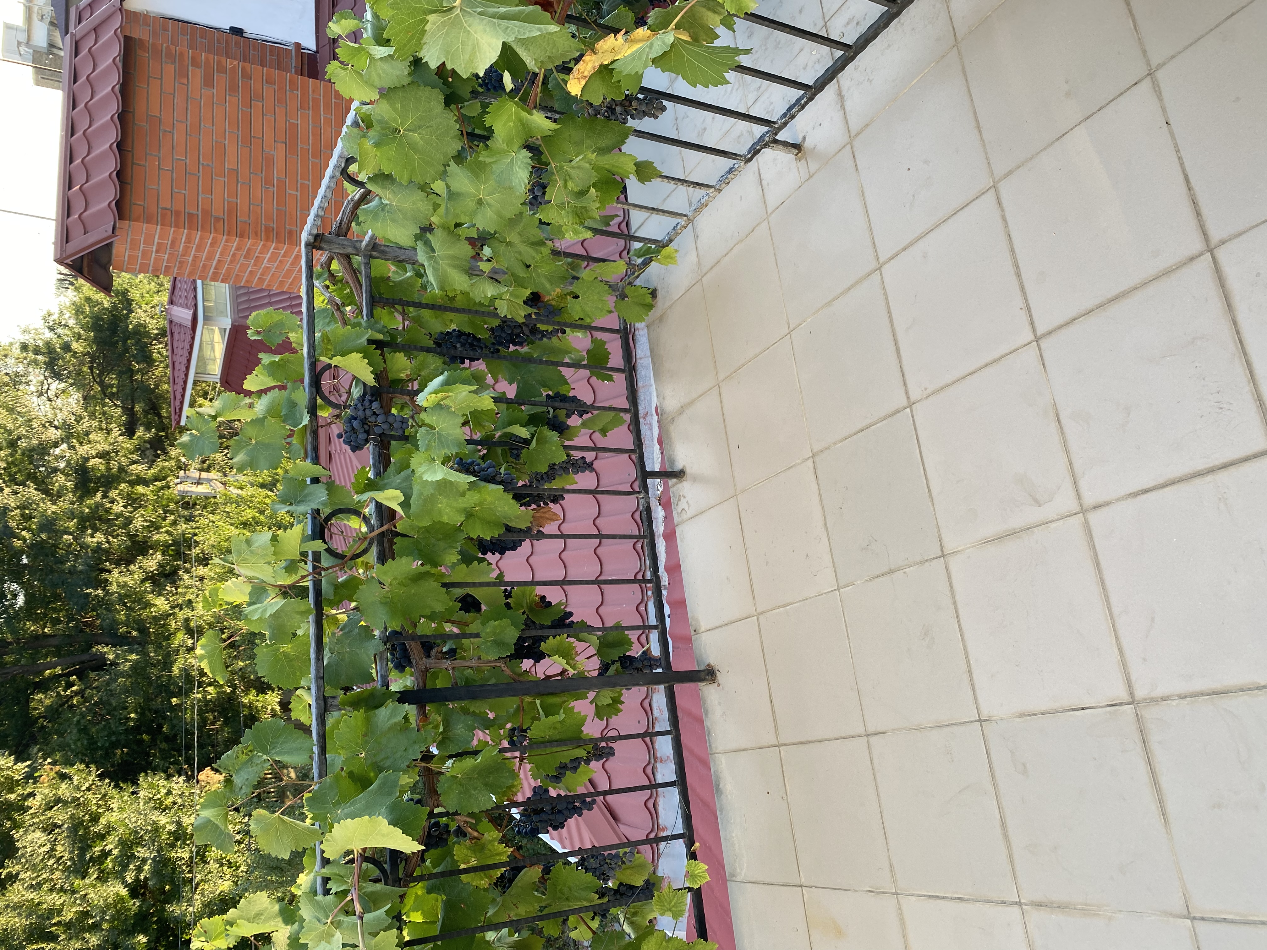 Фото Кефало-Вриси