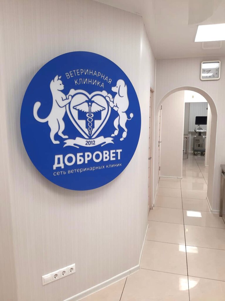 Добровет народная ул 31 29 фото Добровет, ветеринарная клиника, ул. Жулёва, 3, Александров - Яндекс Карты