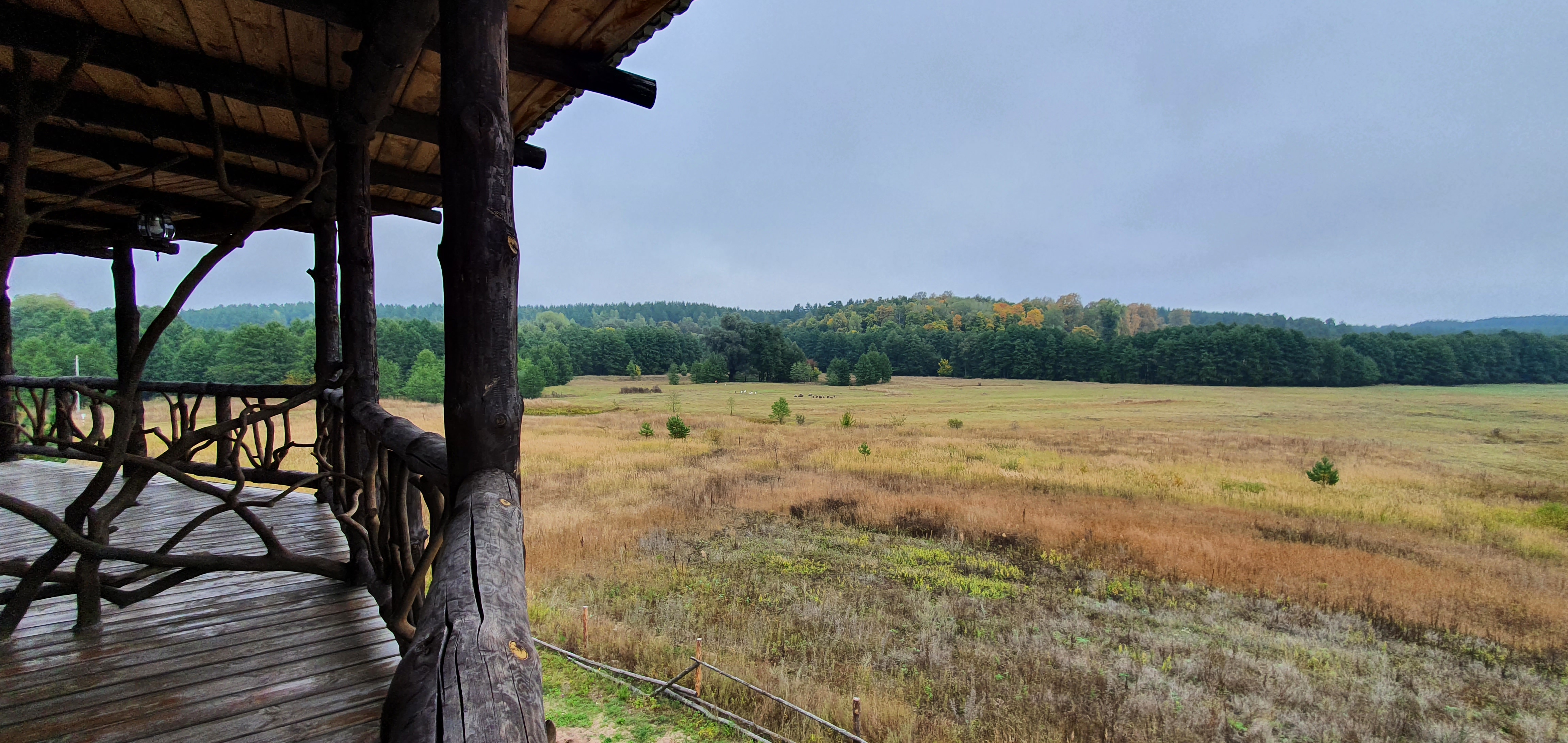 Фото Жукова гора