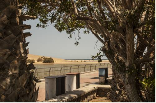 Фото Apartamentos Oasis Maspalomas