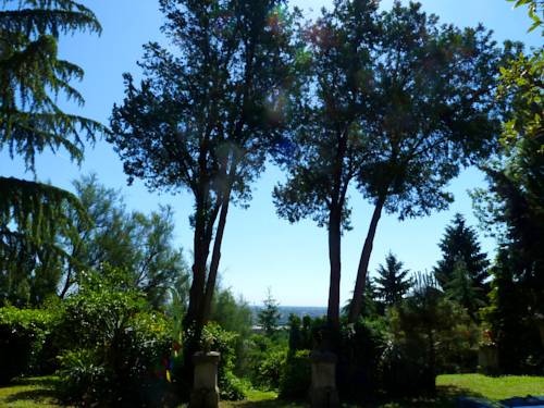 Фото Citadella Guesthouse