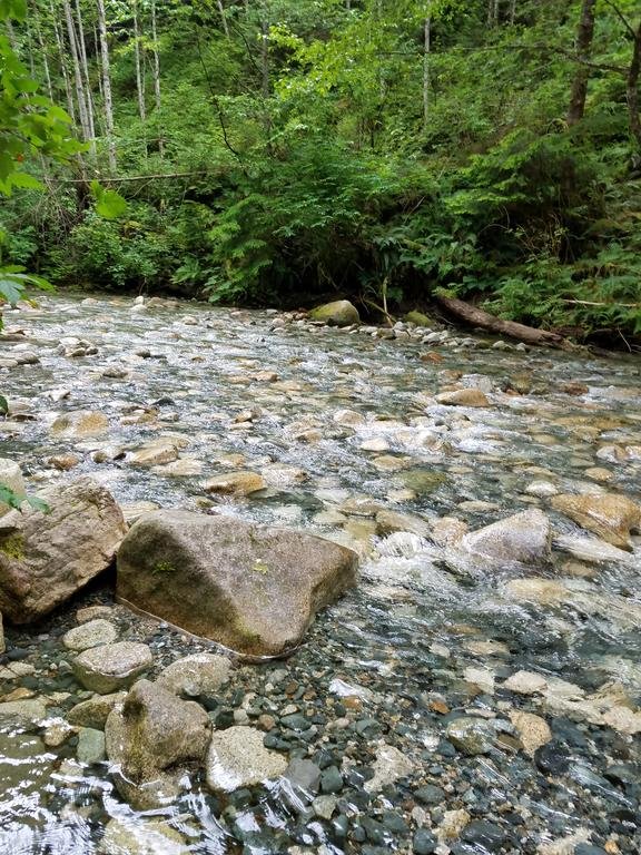 Фото Hotel Squamish