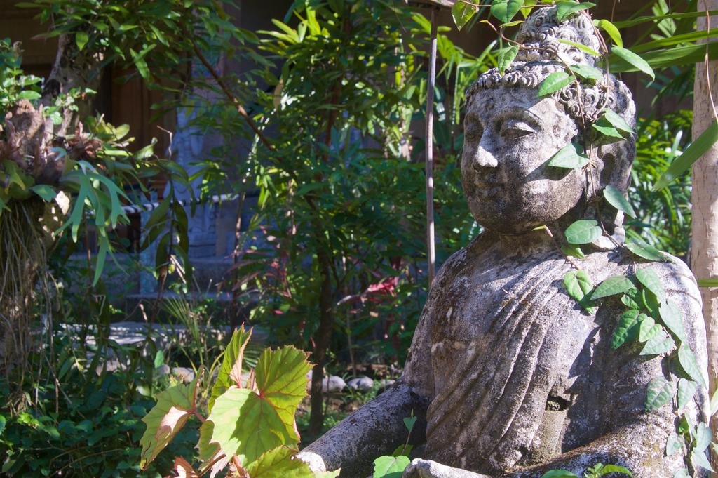 Фото Taman Rahasia Tropical Sanctuary and SPA