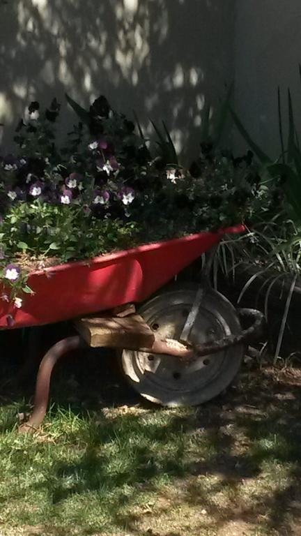 Фото Cottonwood Guesthouse