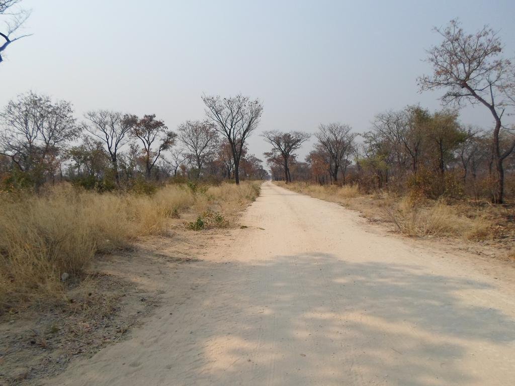 Фото Tsumkwe Country Lodge