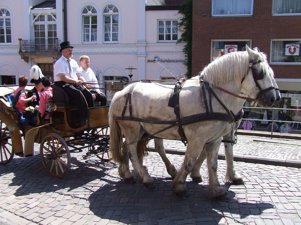 Фото Villa Fedora