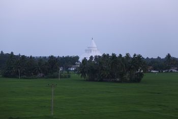 Фото Serene Park Hotel