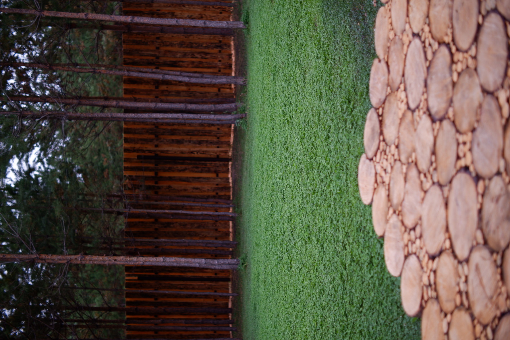 Фото Два Лося