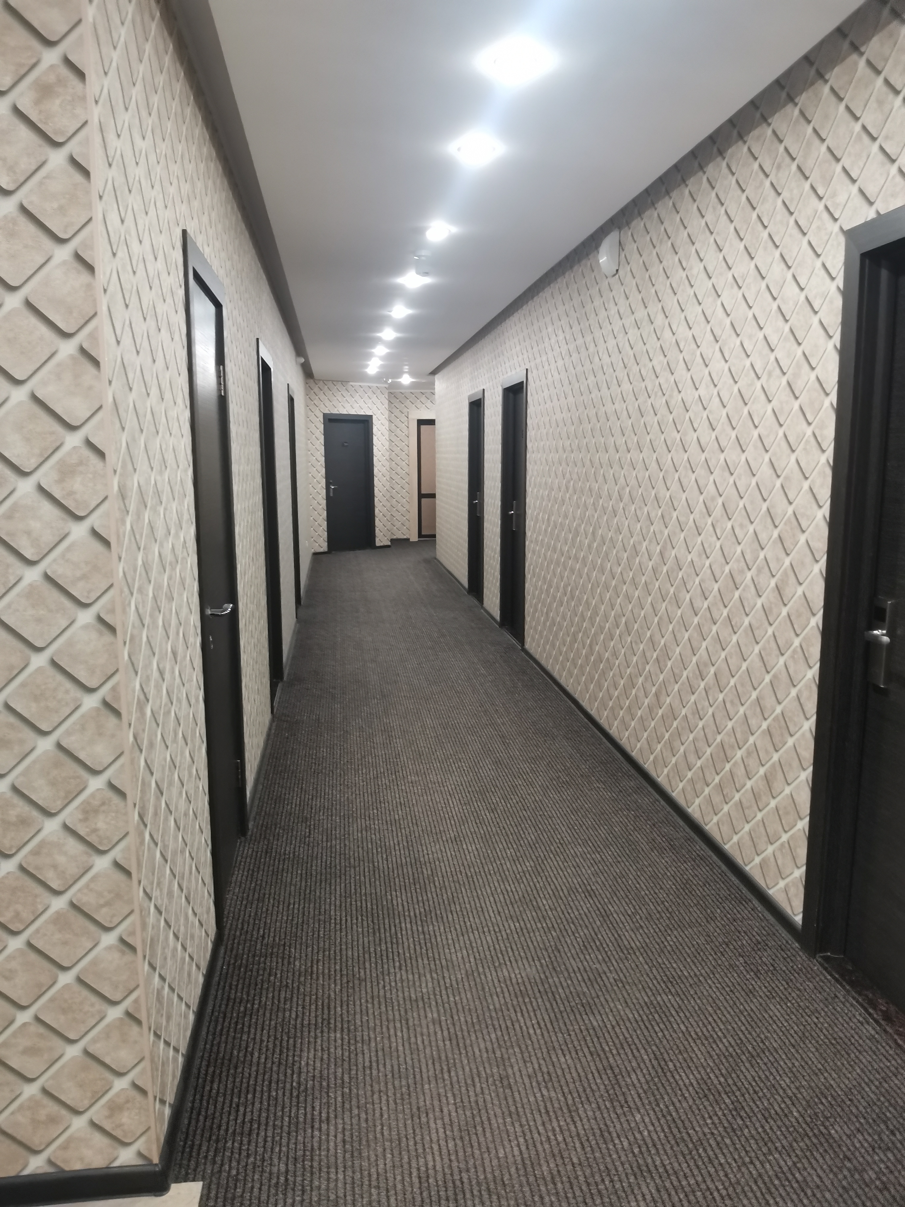 Фото Абсолют