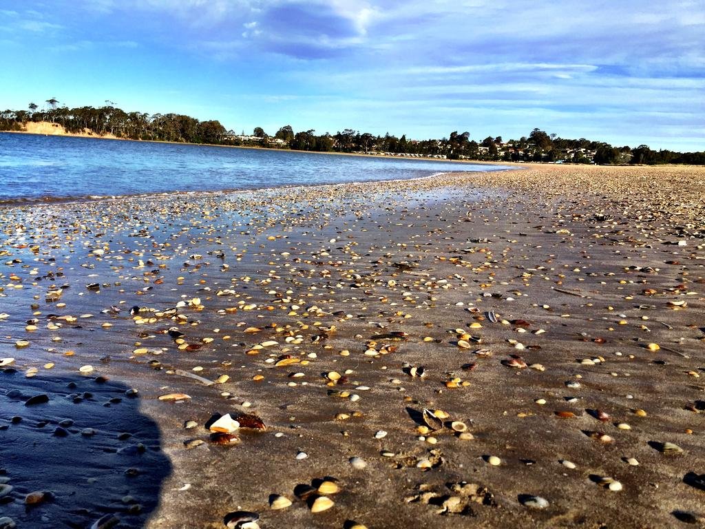 Фото Lincoln Downs Resort 