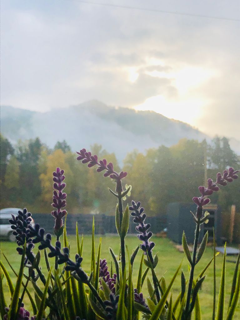 Фото Шале Ель&Форель