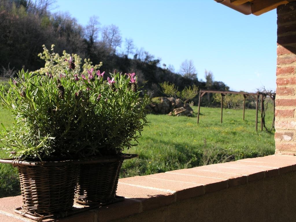 Фото Agriturismo Le Valli