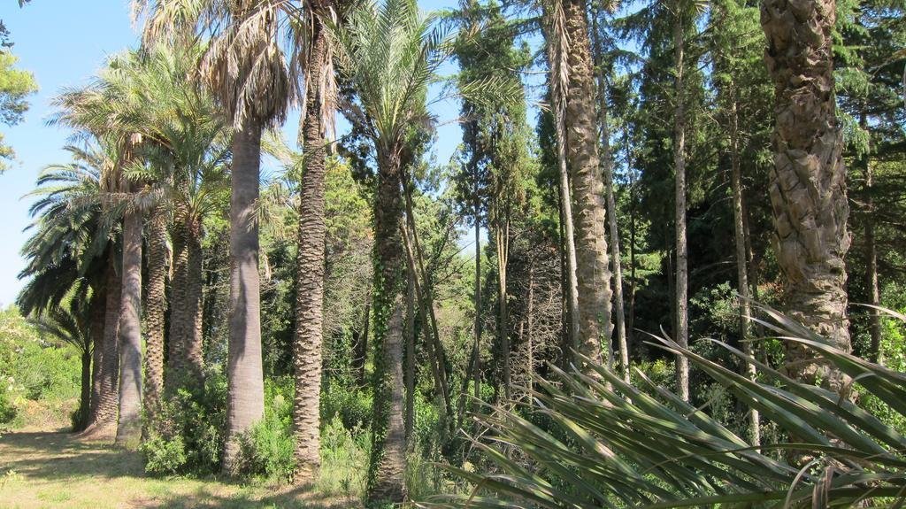 Фото B&b Capo Pero