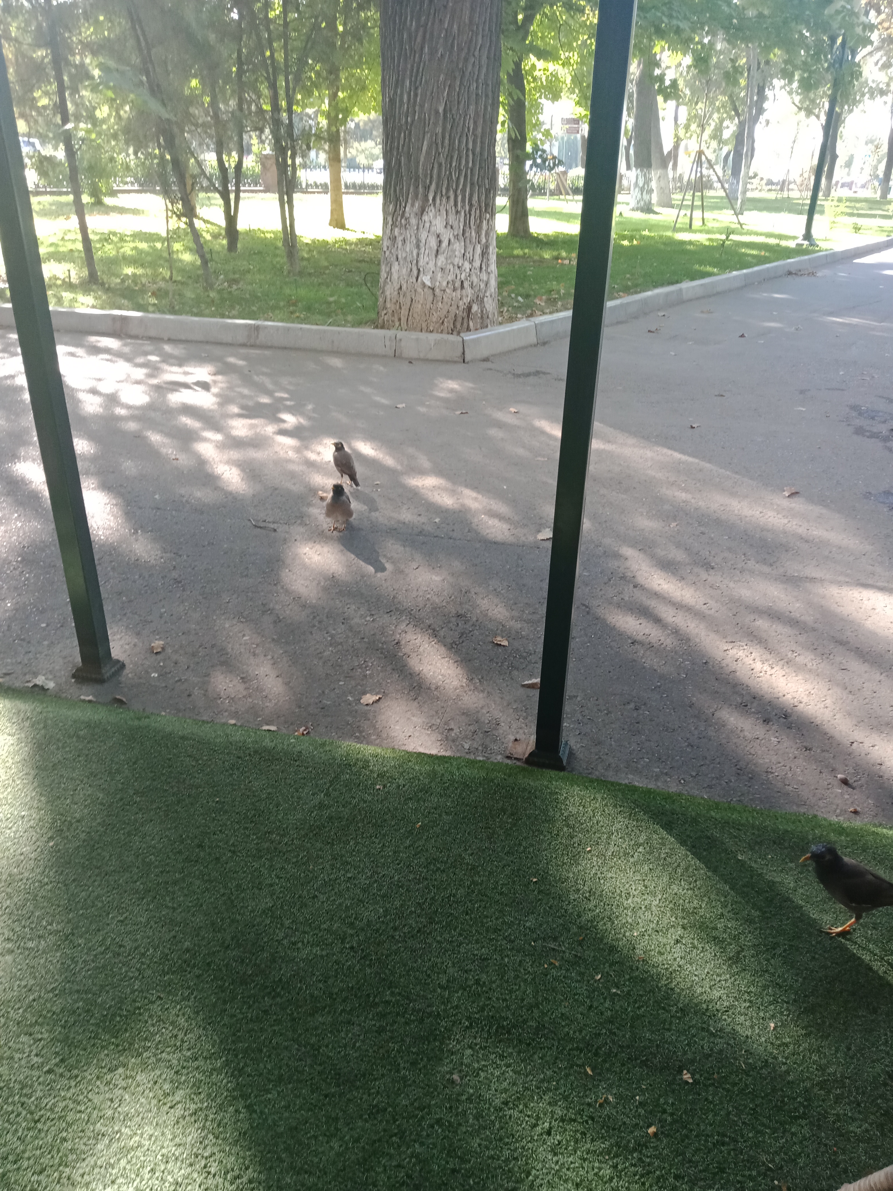 Фото 149764180139