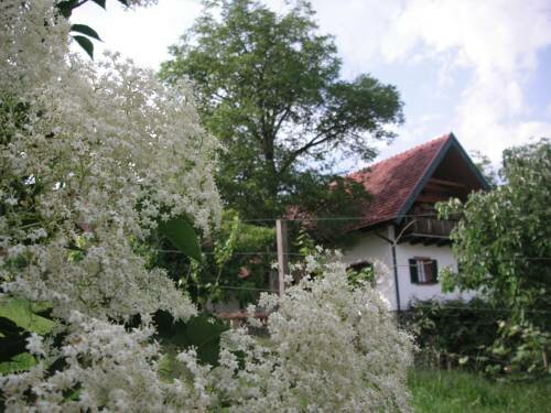 Гостиница Bauernhof Grain
