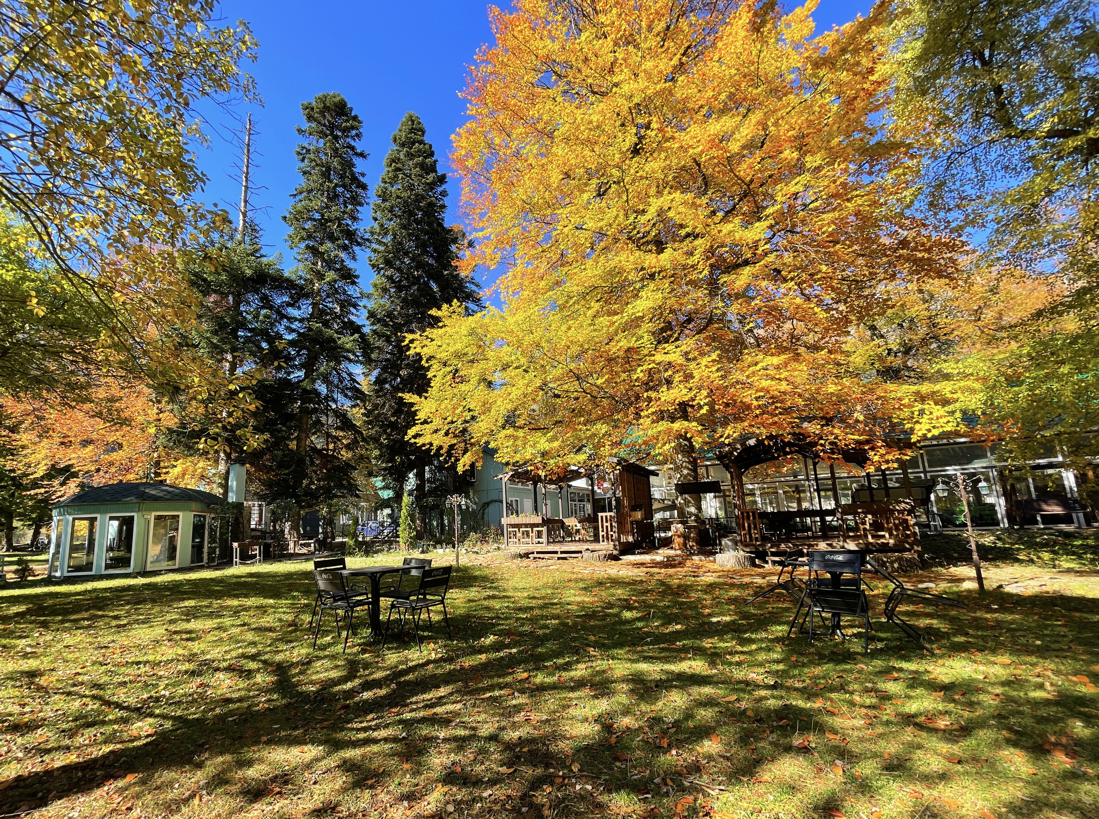 Фото Green Park Arkhyz SPA & Усадьба