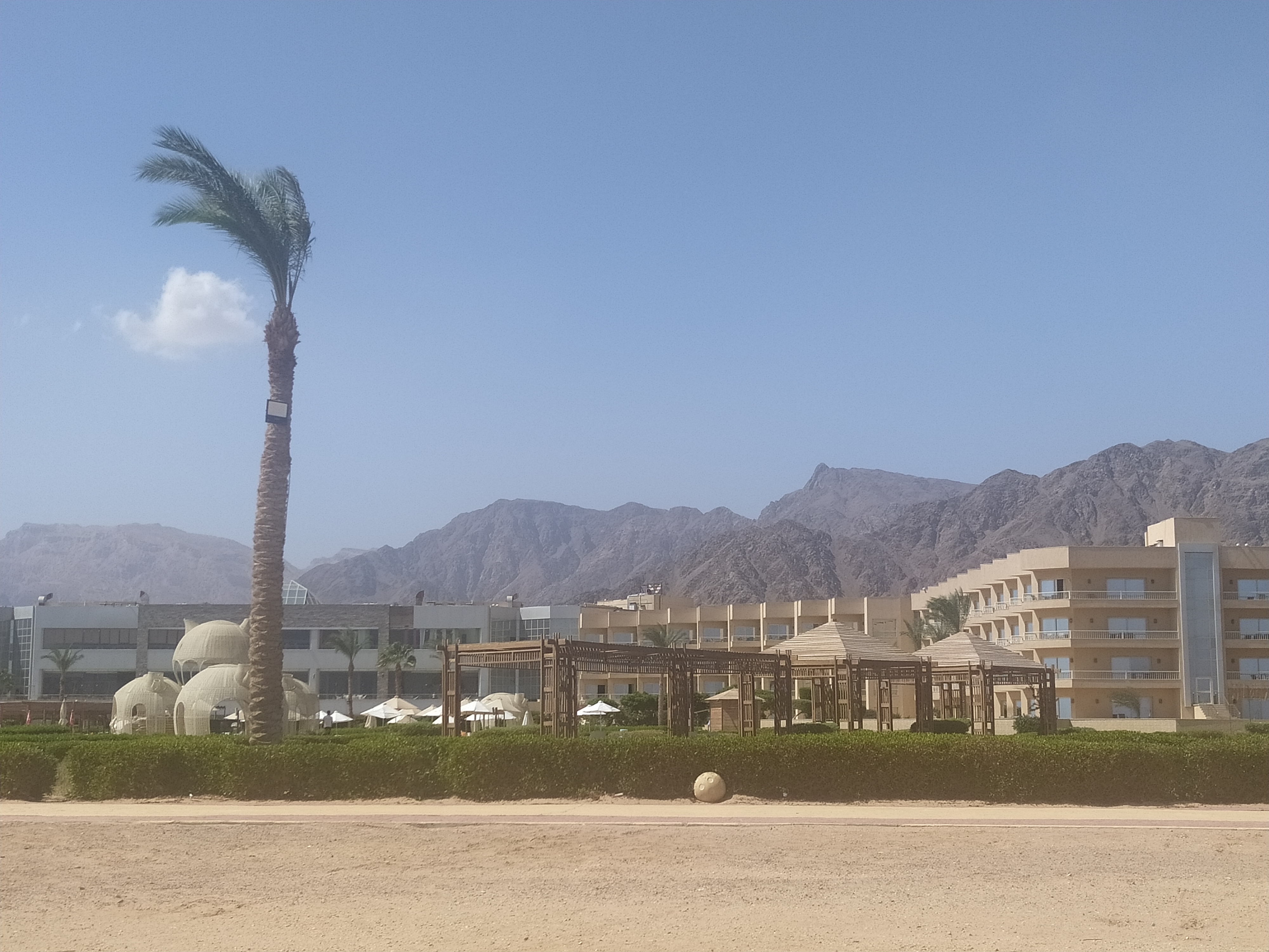 Фото Tolip Taba Resort & SPA