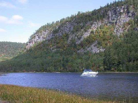 Фото Comfort Inn