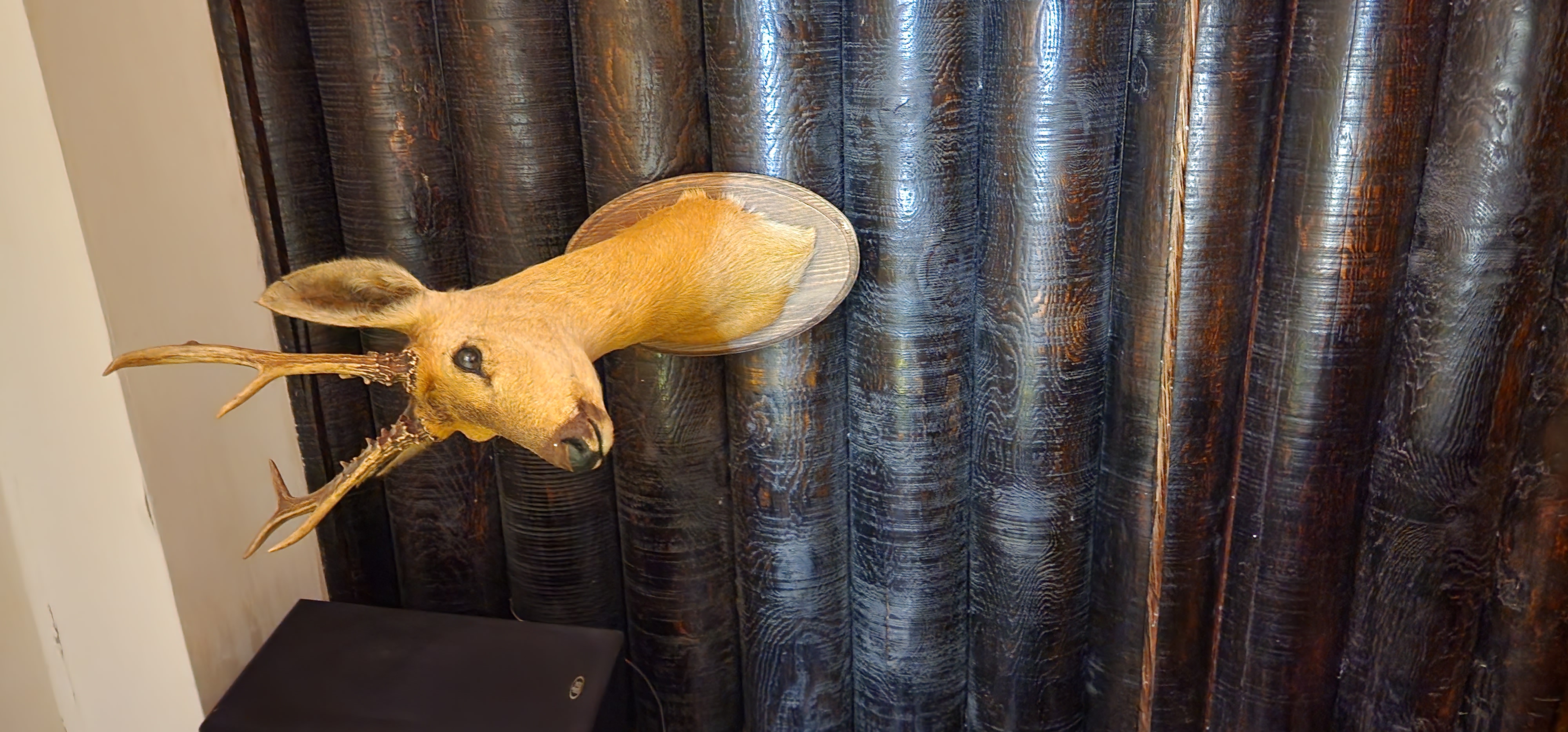 Фото Сибирь