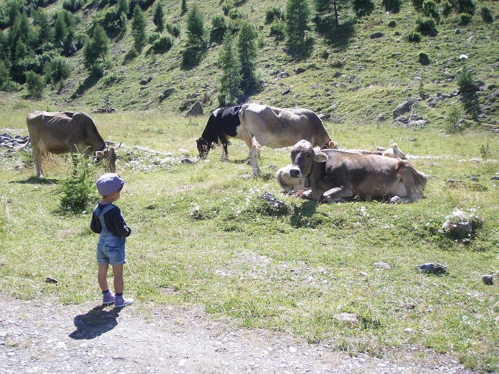 Фото Residence Flora