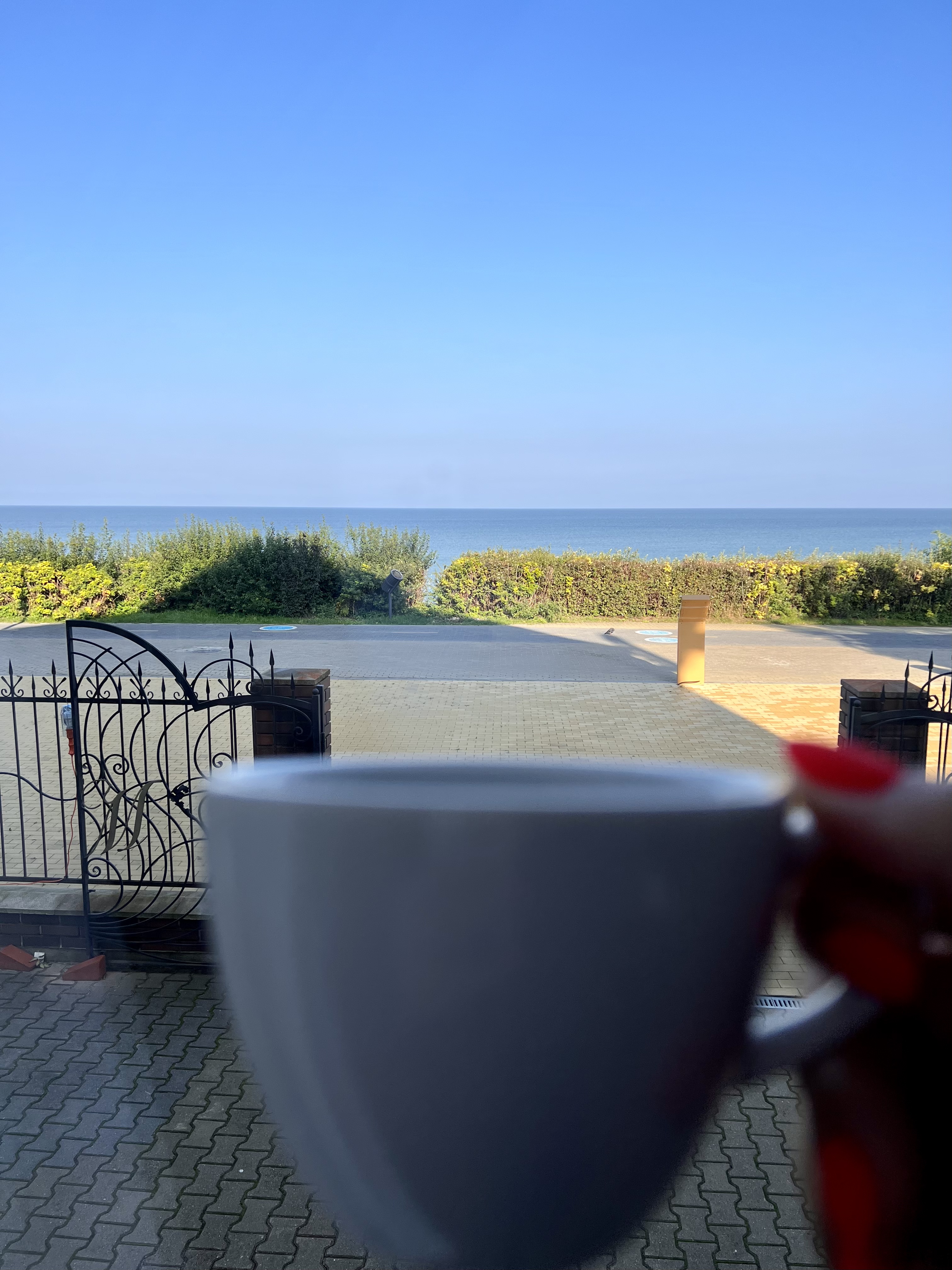 Фото Золотая Миля