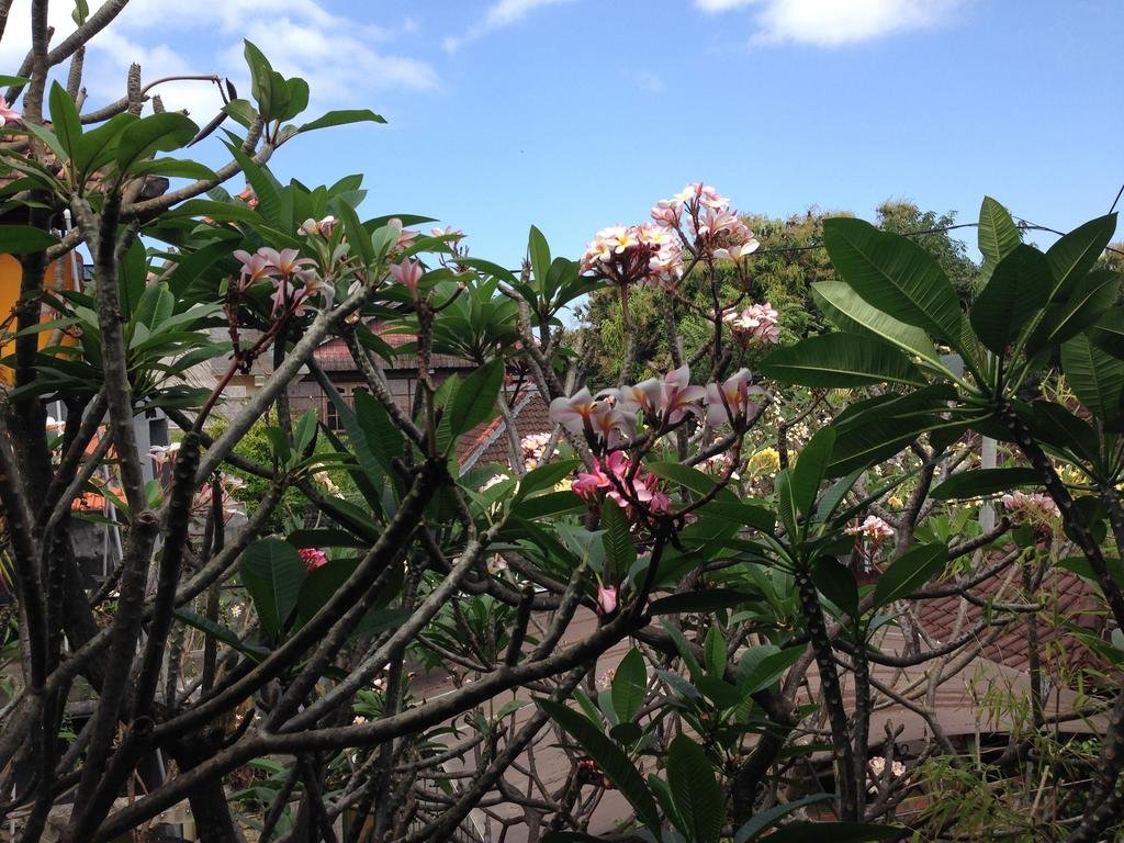 Фото Double N Guesthouse