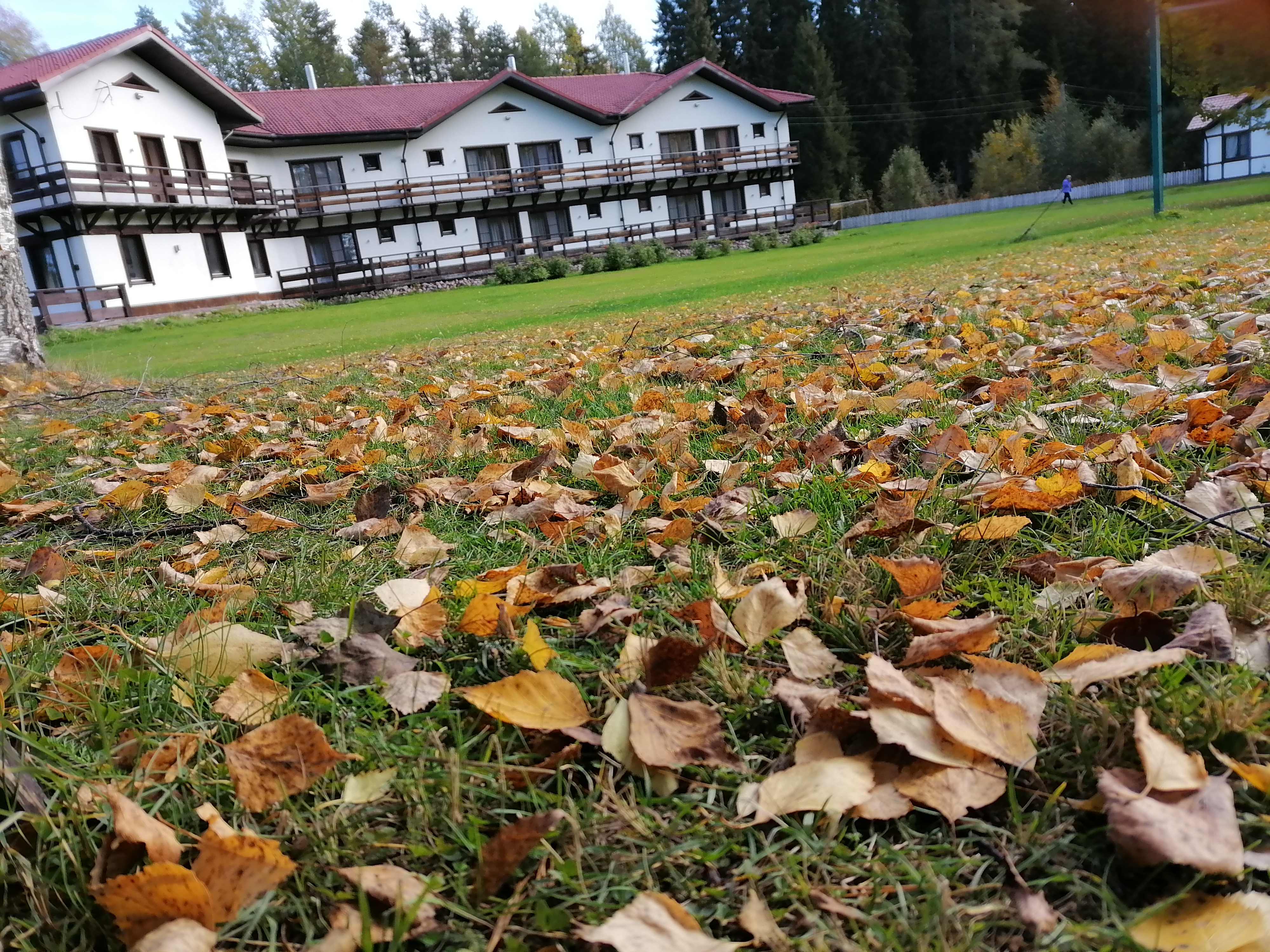 Фото Отель-клуб Гардарика