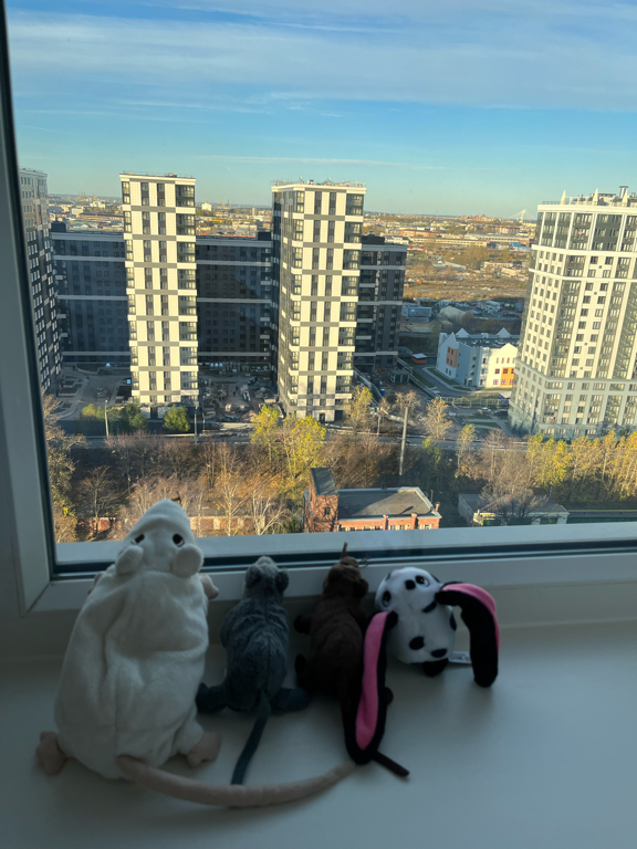 Фото Московские ворота