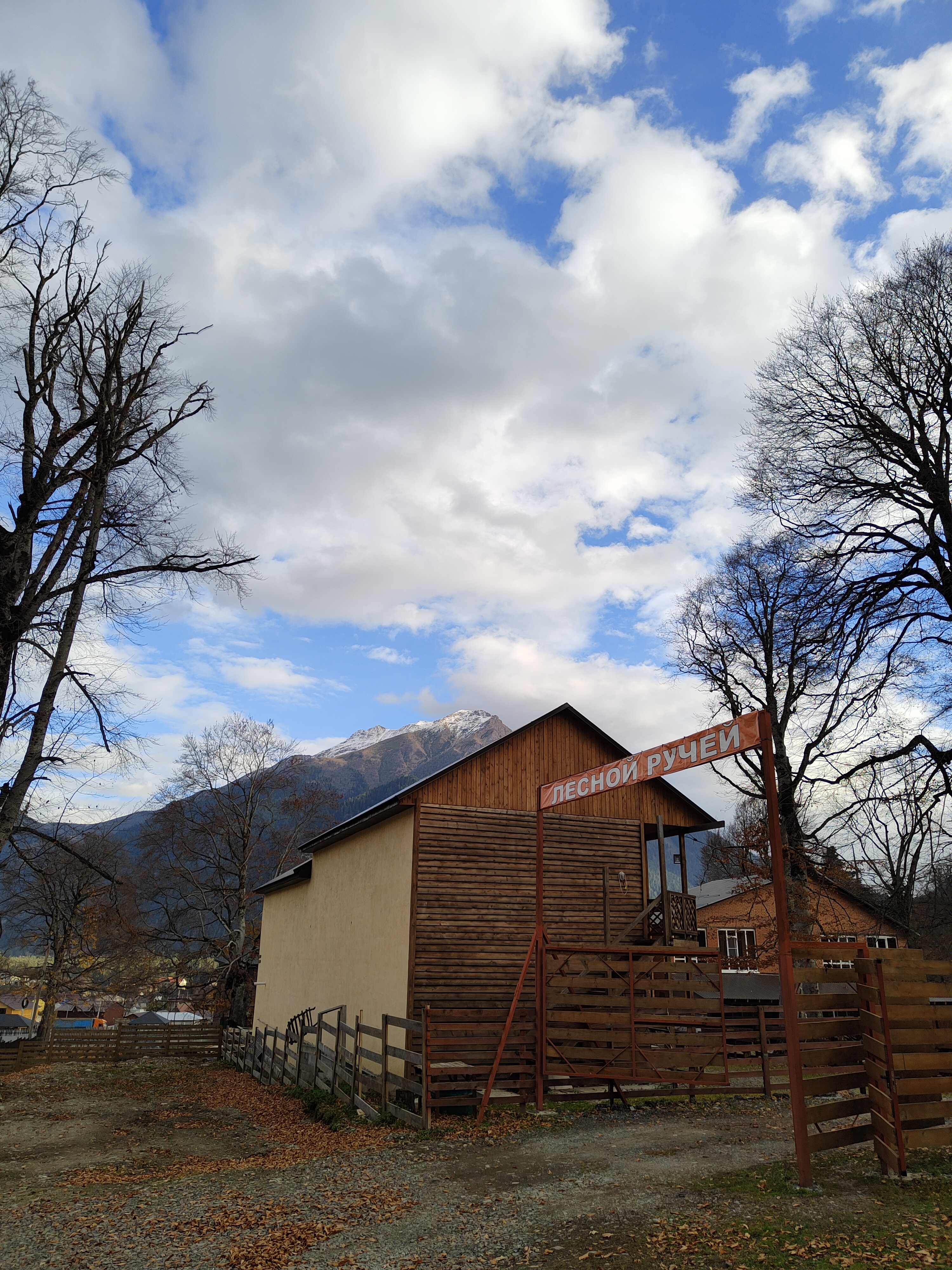 Фото Лесной ручей