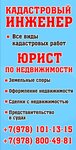 Кадастровые работы (улица Пушкина, 1), cadastral works