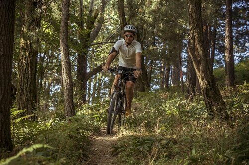 Внешний вид отеля Grand Forest Metsovo в Мецово, фото 5