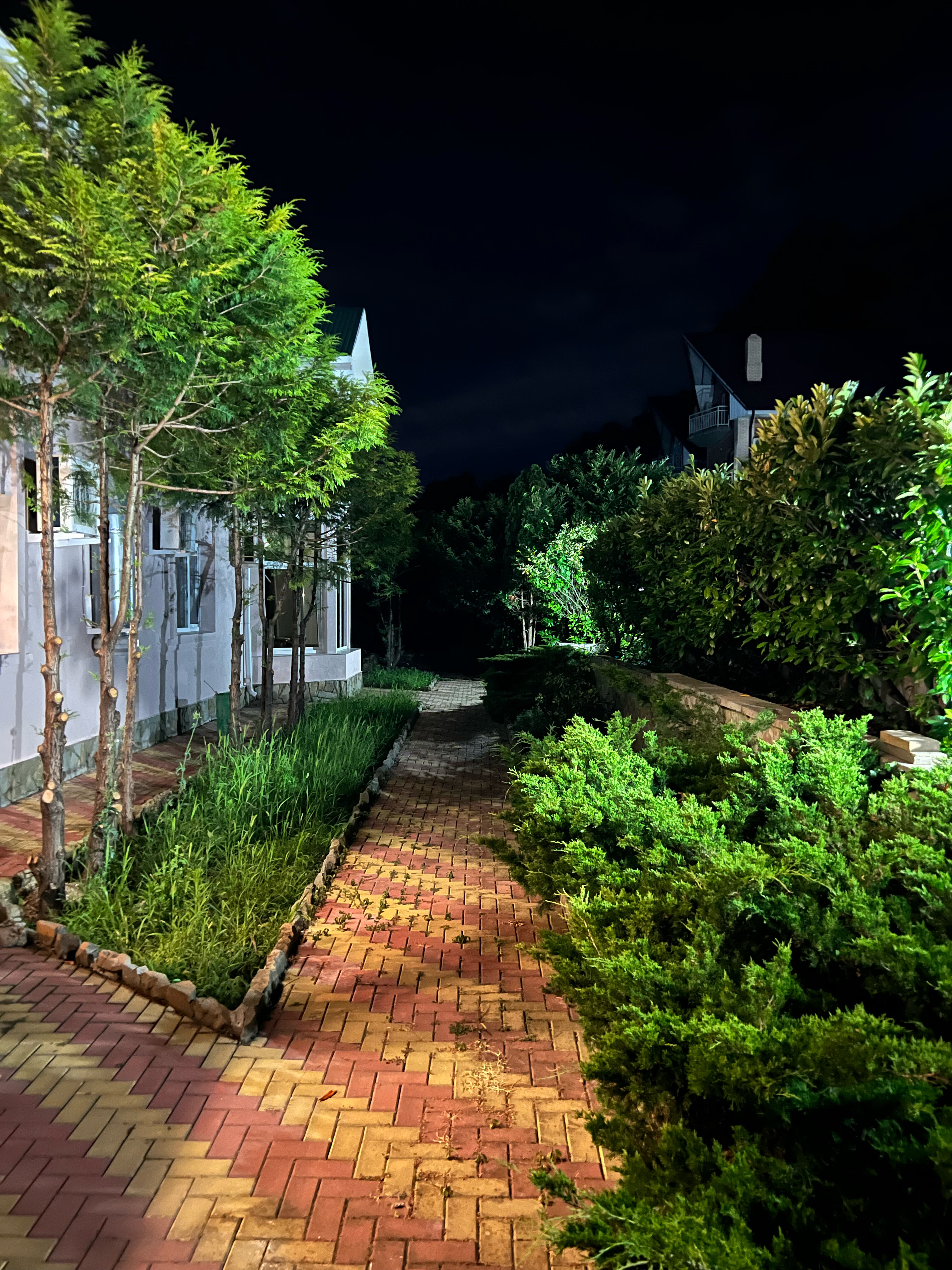 Фото Отрада