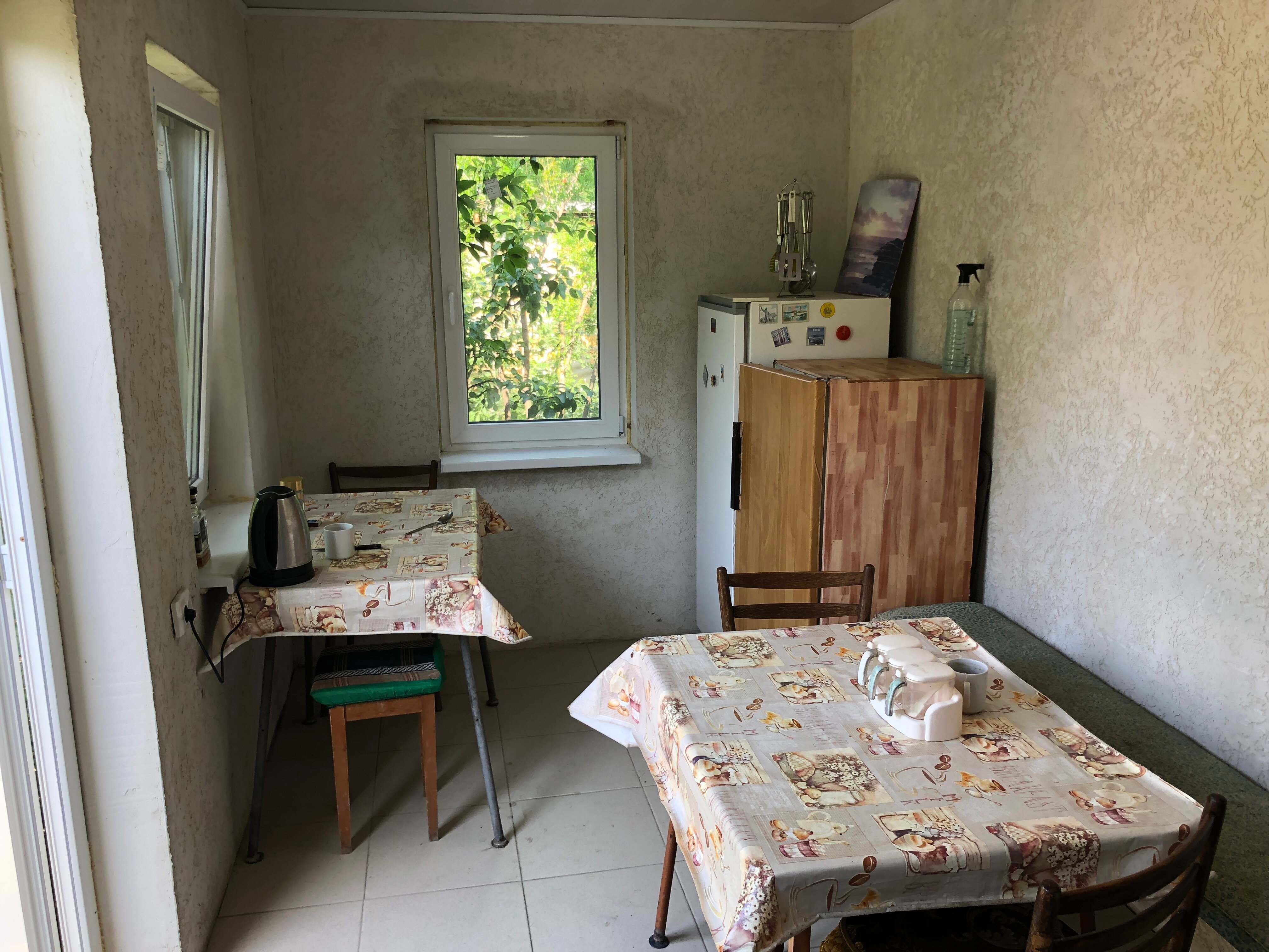 Фото Золотая Рыбка