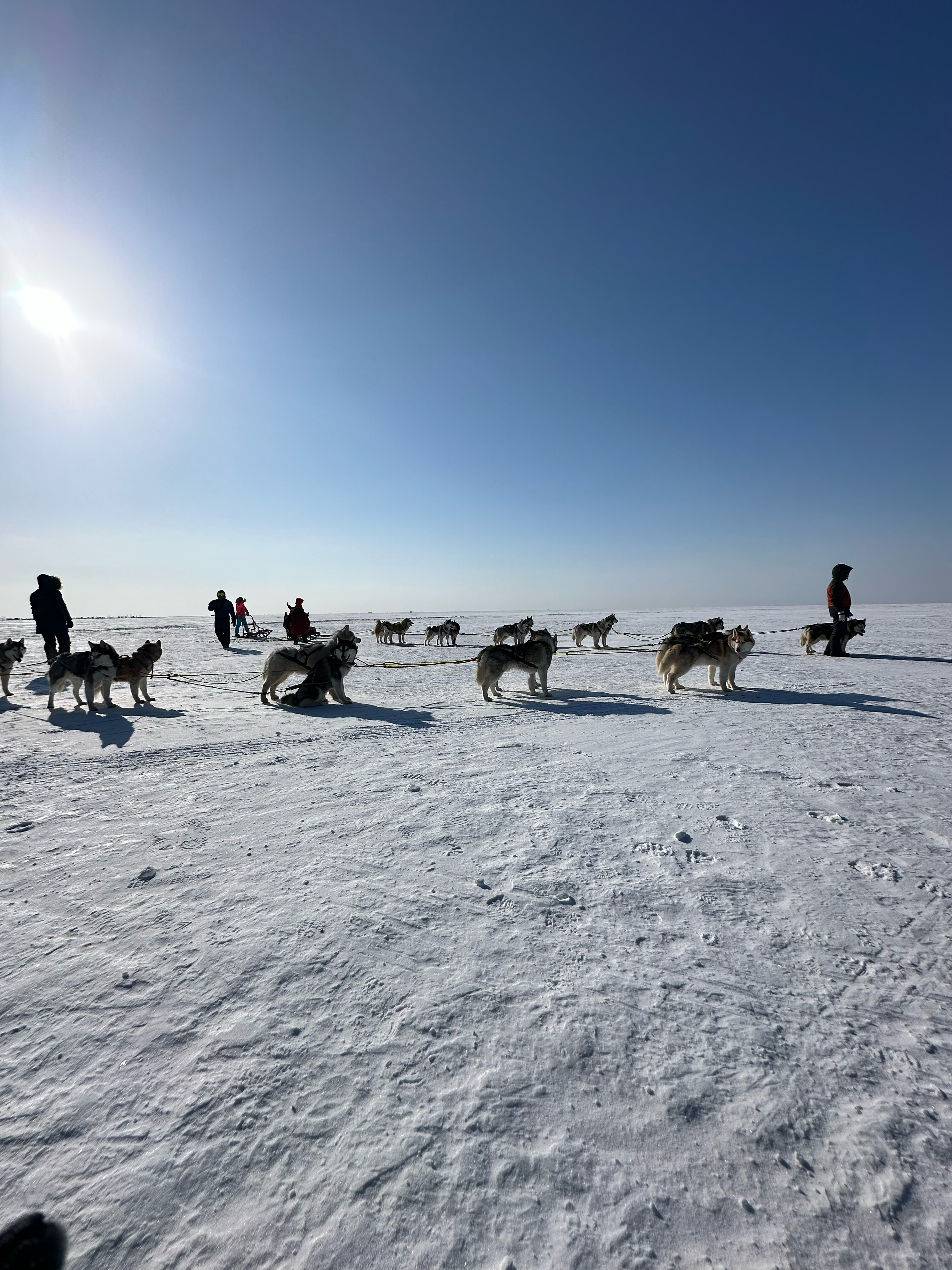 Фото Ветер странствий