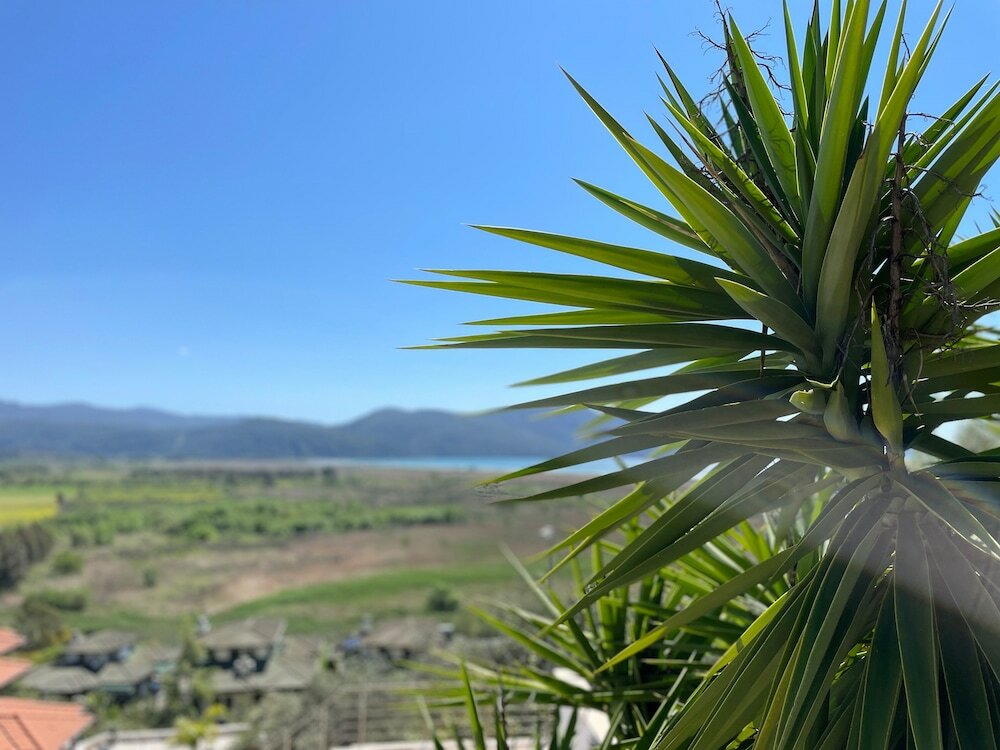 Фото Beacon Hill Suites