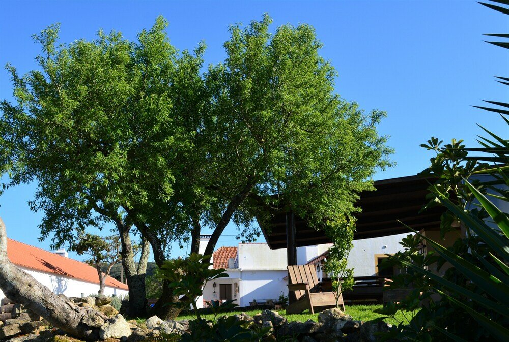 Фото Quinta do Tio Viagem