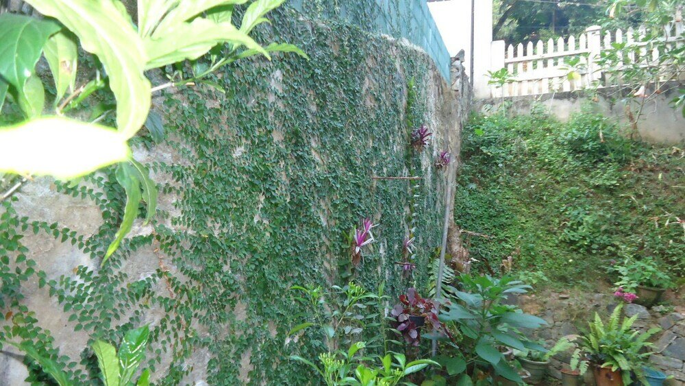 Фото Resort Beam