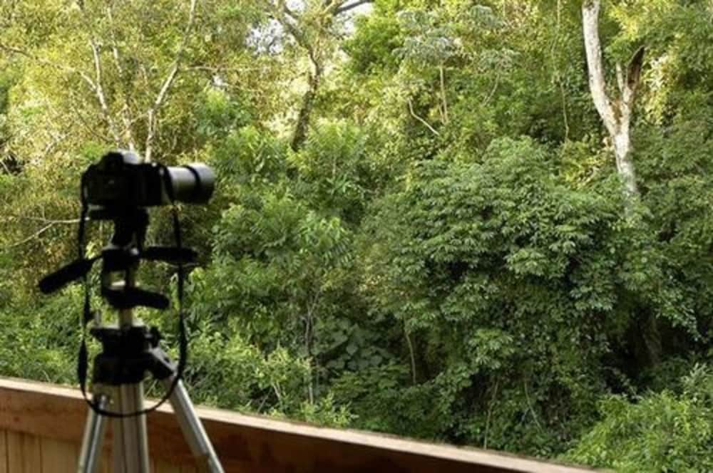 Фото La Aldea de la Selva Lodge