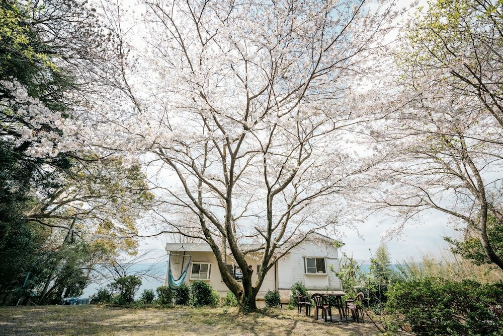 Фото Sakura Beach Garden